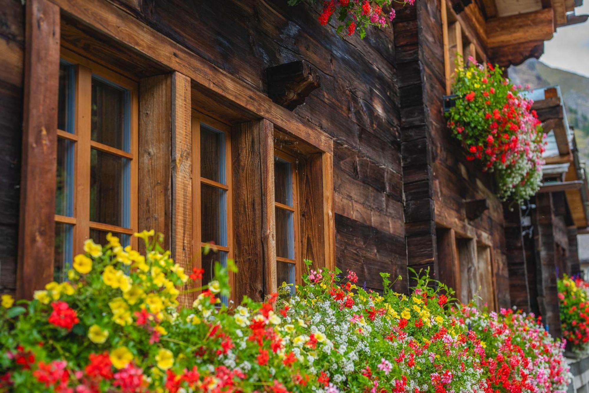 Chalet Schuler Ζερμάτ Εξωτερικό φωτογραφία